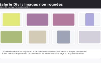 Galerie divi rogne les images : afficher 100 % sans recadrage